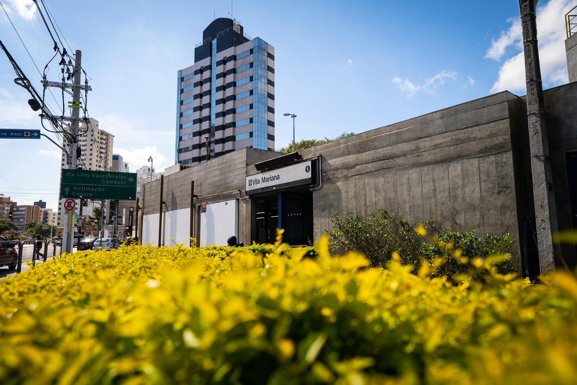 Estação de Metrô Vila Mariana, Linha 1 Azul